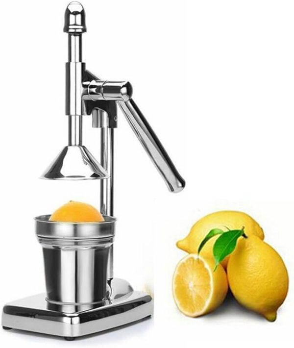 Manual Juicer Hand Press