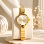 Ibso watch
